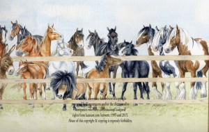 banner for Bransby Horse Sanctuary