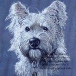 privately commissioned portrait of west highland terrier