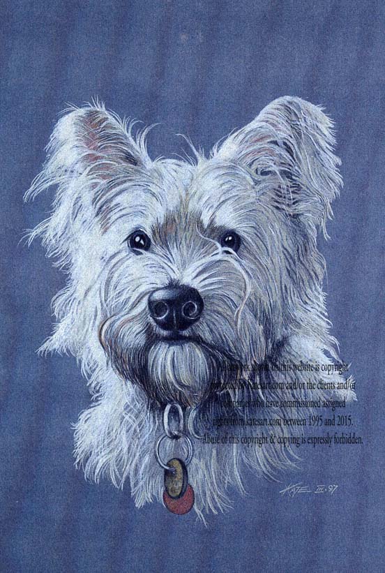 privately commissioned portrait of west highland terrier