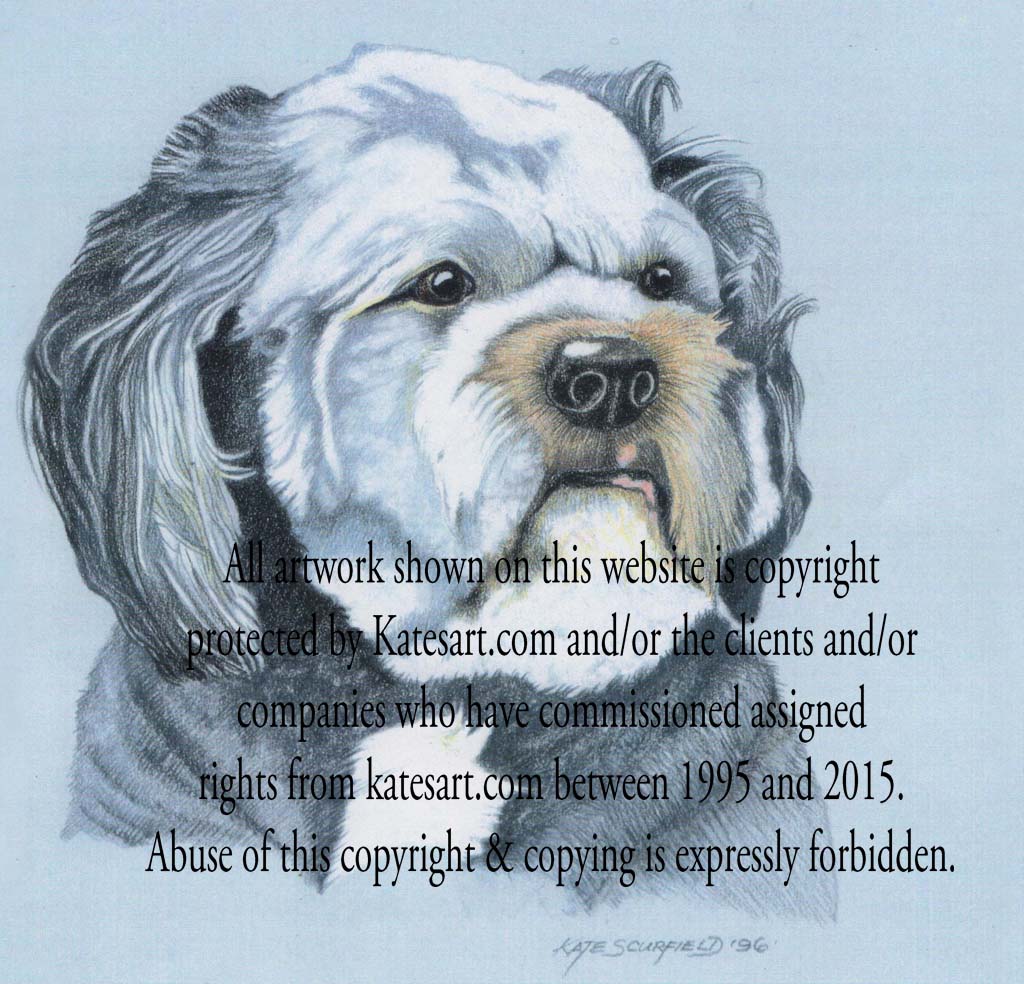 pastel portrait of tibetan terrier - commission